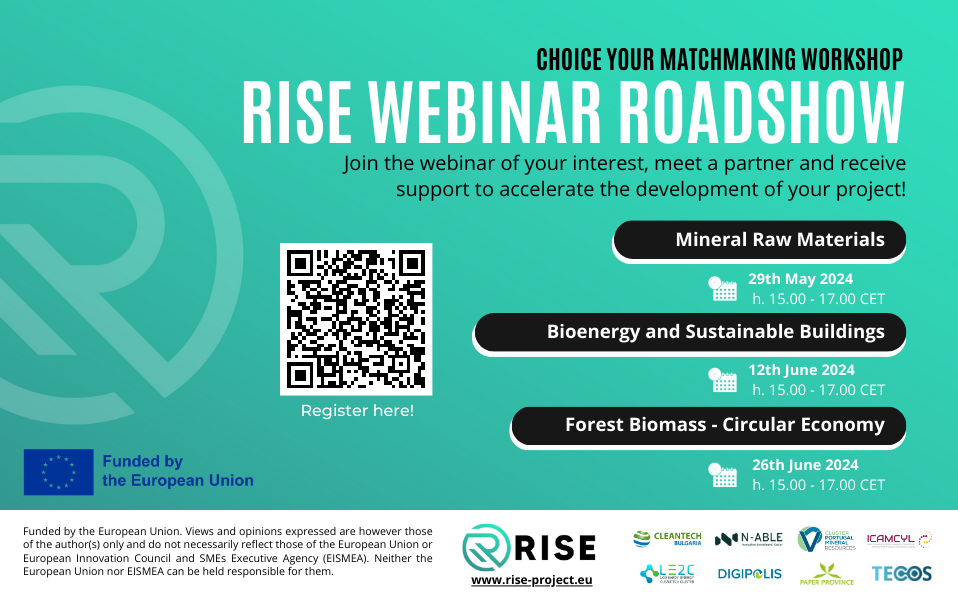 RISE Webinar Roadshop_flyer disclaimer.png